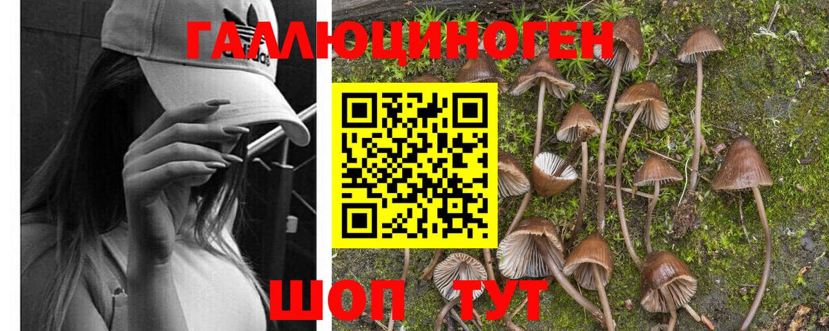 Псилоцибиновые грибы ЛСД Азнакаево