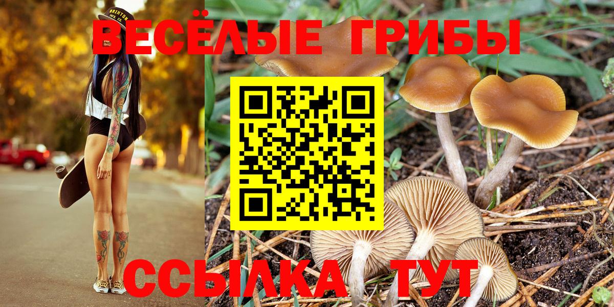 Азнакаево  Псилоцибиновые грибы ЛСД  Вход с VPN  Галлюциногенные грибы Psilocybine cubensis 